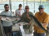 (07/13/2014) - Nice Striped Bass